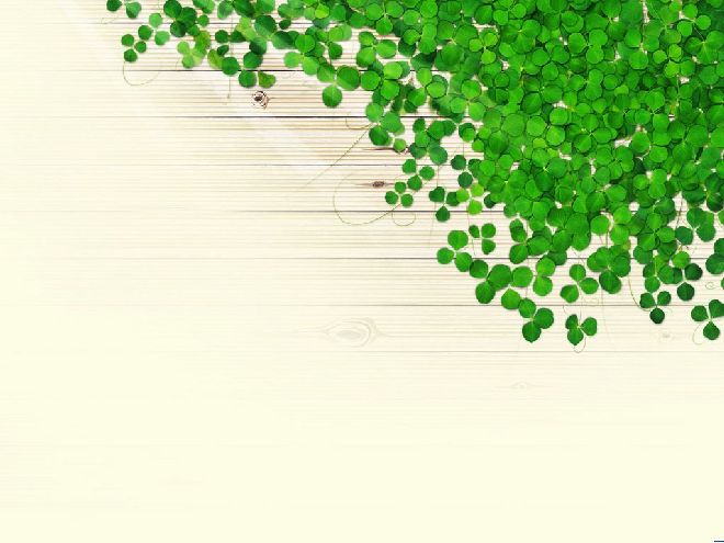 Fresh Trifolium PowerPoint background