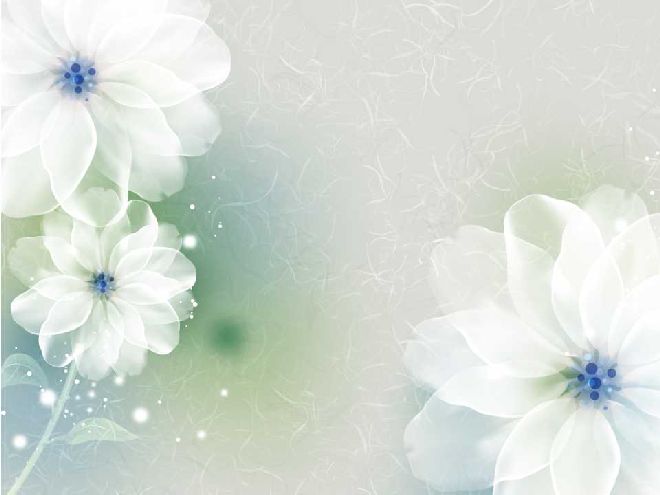 Elegant flowers PowerPoint backgrounds & Google Slides