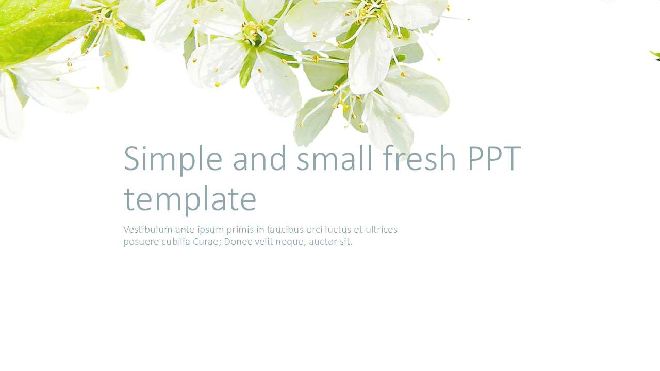 Simple and small fresh PPT template