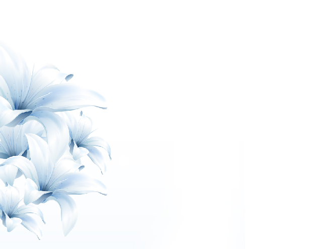 4 Lily flower PowerPoint backgrounds & Google Slides