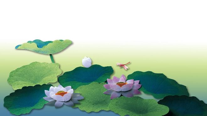 2+ Lotus PowerPoint backgrounds