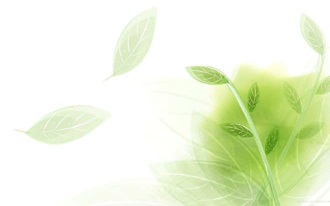 <b>Light and elegant leaves PowerPoint backgrounds</b>