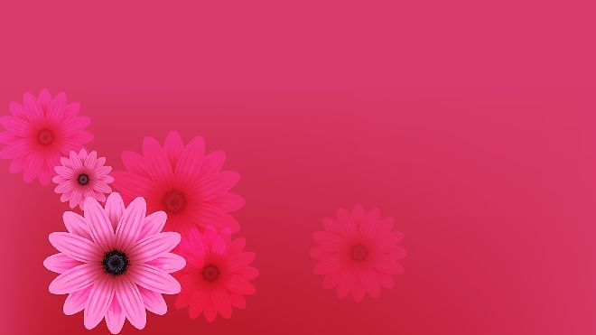 Beautiful pink flowers PPT backgrounds_Google Slides theme