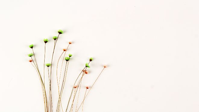 Six simple fresh bouquets PPT background pictures & Google Slides
