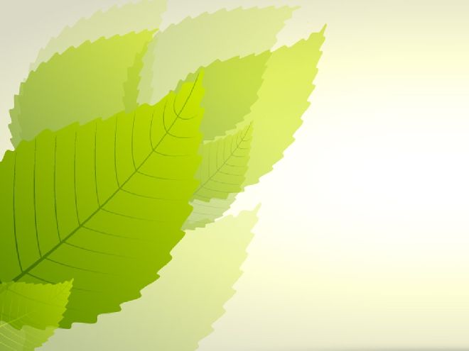 Fresh green leaf slide background images & Google Slides