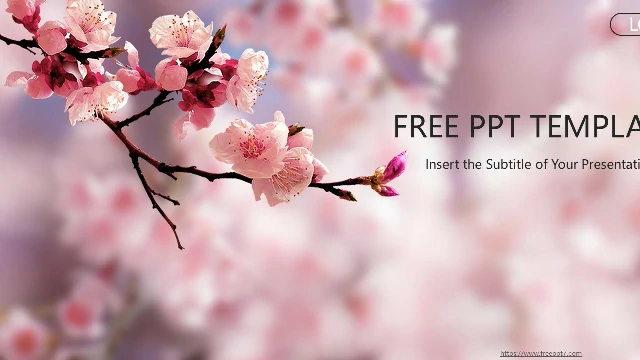 Pink Peach Background Business PowerPoint Templates