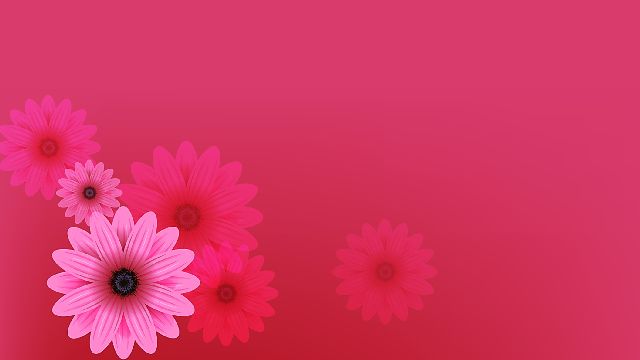 Beautiful pink flowers PPT backgrounds & Google Slides