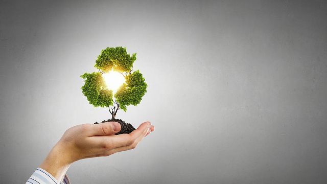 Background picture of green saplings in hand