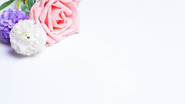 Color rose flower slide backgroun