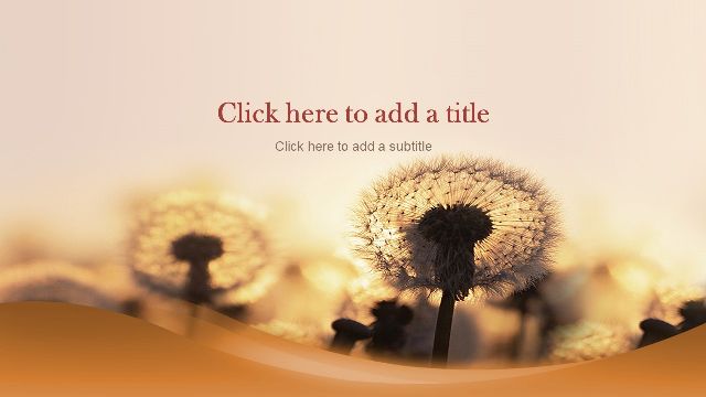 <b>Flying dandelion PowerPoint background pictures</b>