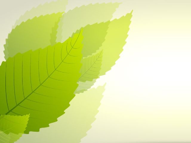 Fresh green leaf slide background images